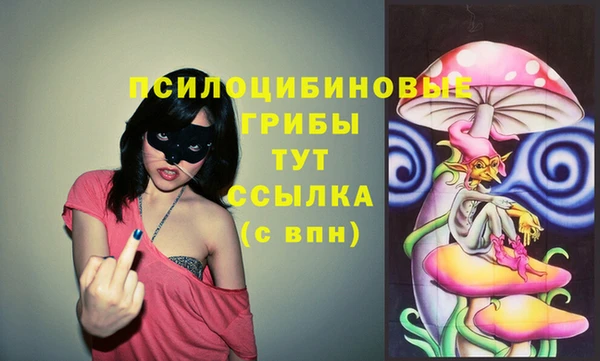 дурь Иннополис