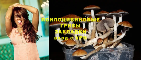 гидропоника Инсар