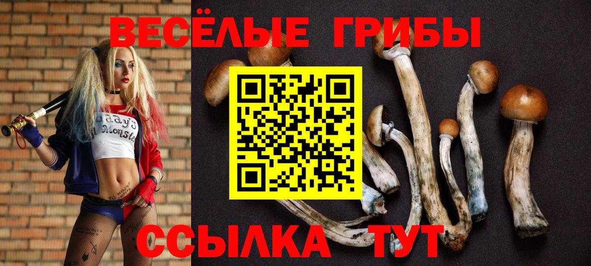 Истра  наркота  Вход с VPN  Псилоцибиновые грибы Cubensis 
