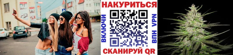 Канабис сатива  Истра 